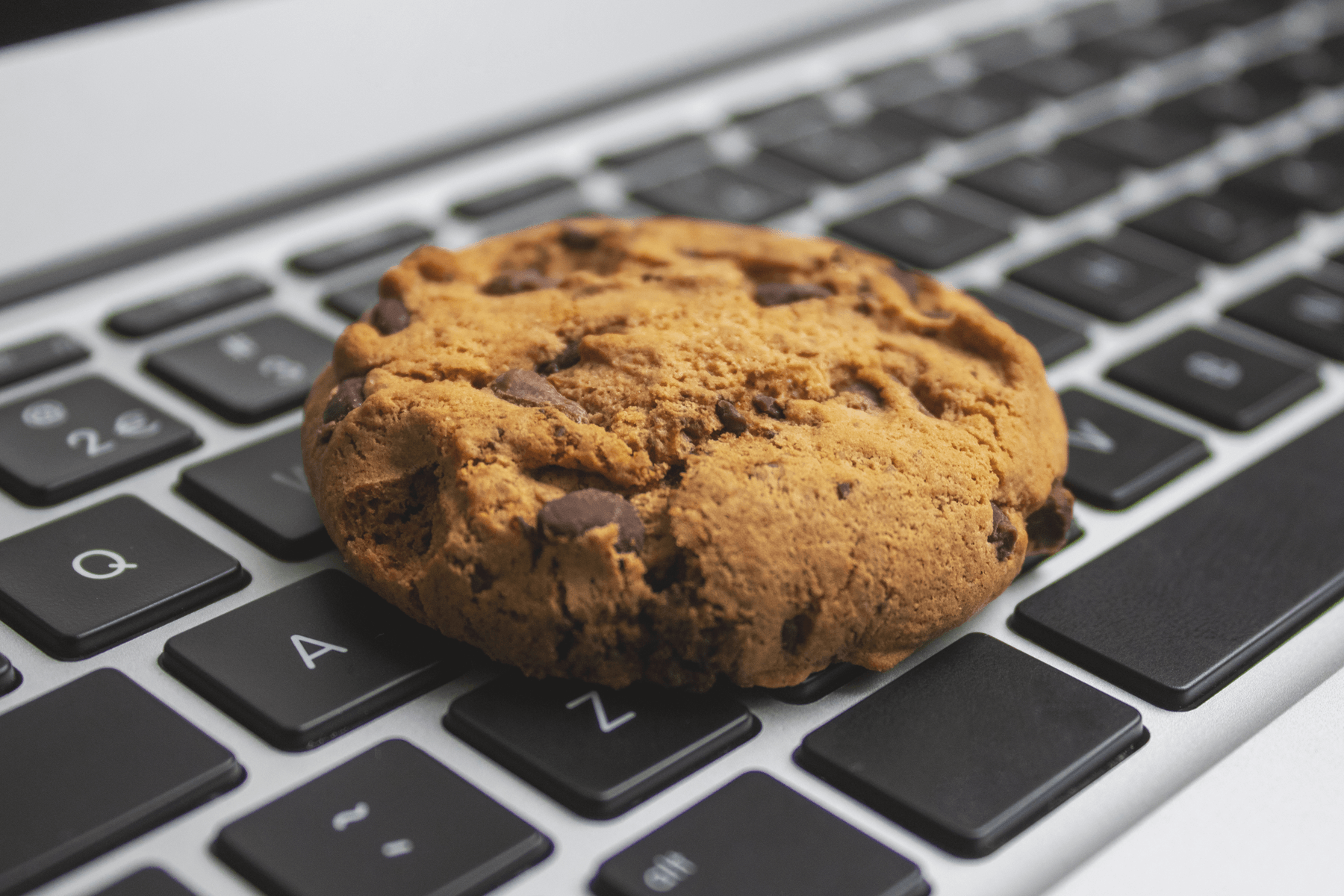 Online Cookies; the 21 Century Trojan Horse, Beware!