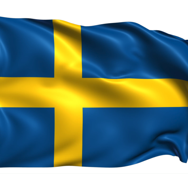 Sweden: IMY publishes proposal on the processing of personal data concerning legal violations