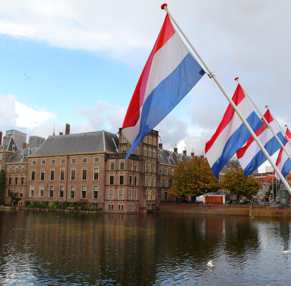 Netherlands’ DPA issues guidance against web scraping
