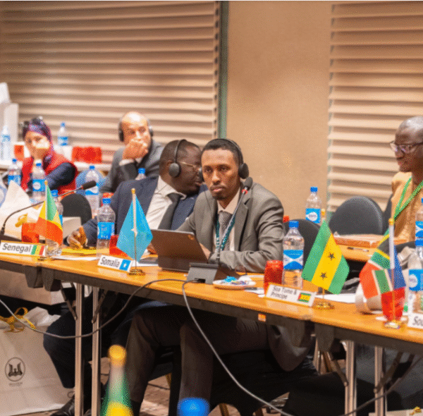 Somalia officially joins African Data Protection Association