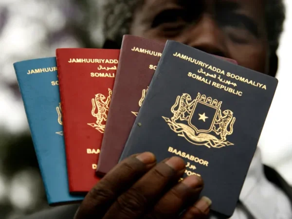 New Somalia e-visa security flaw puts personal data of thousands at risk