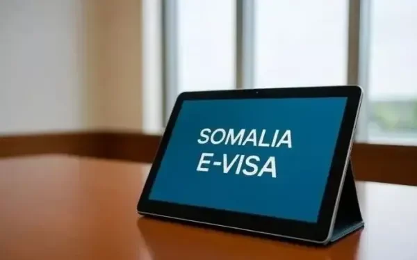 US and UK warn of major e-visa data breach in Somalia