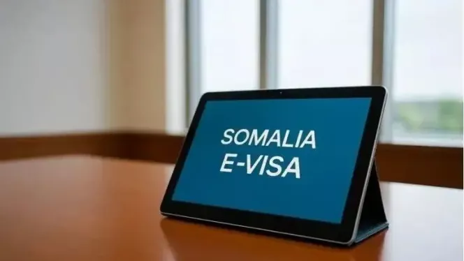 US and UK warn of major e-visa data breach in Somalia