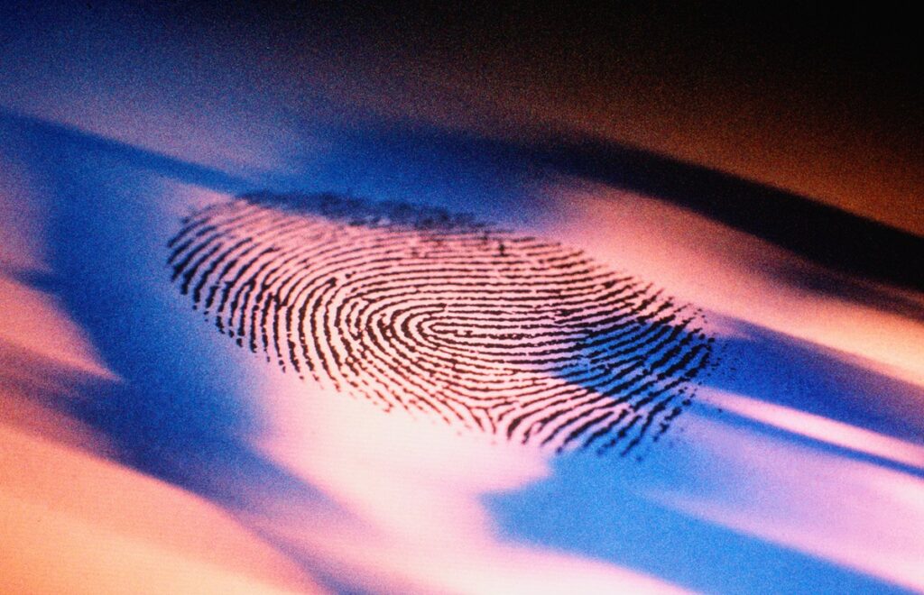 EU countries gear up to let US tap their citizens’ biometrics