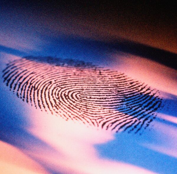 EU countries gear up to let US tap their citizens’ biometrics