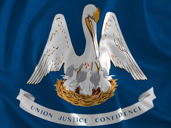 Louisiana Enacts Comprehensive Consumer Privacy Law
