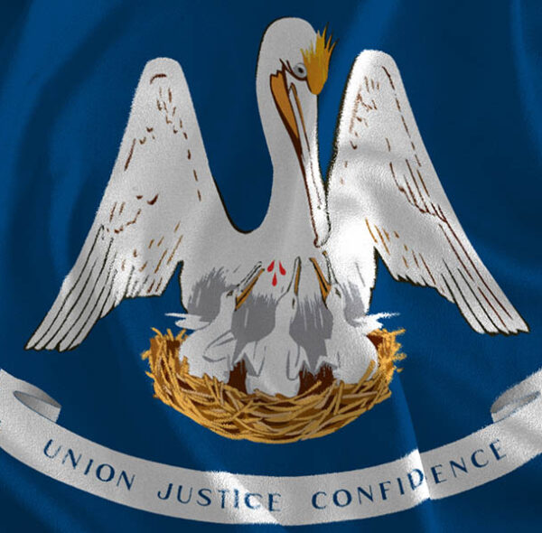 Louisiana Enacts Comprehensive Consumer Privacy Law